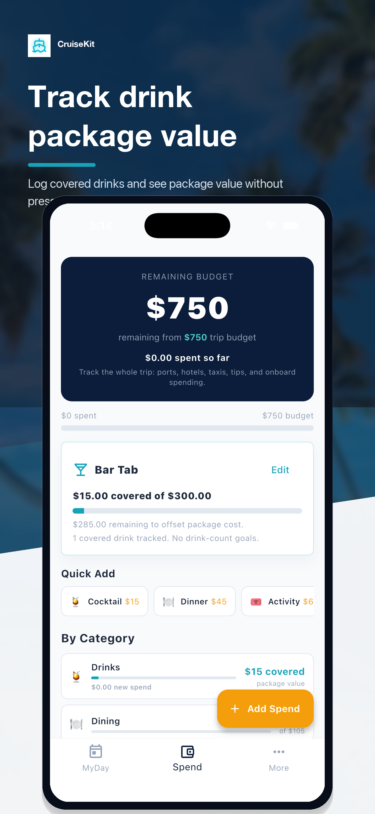 CruiseKit drink package tracker showing covered value and break-even progress