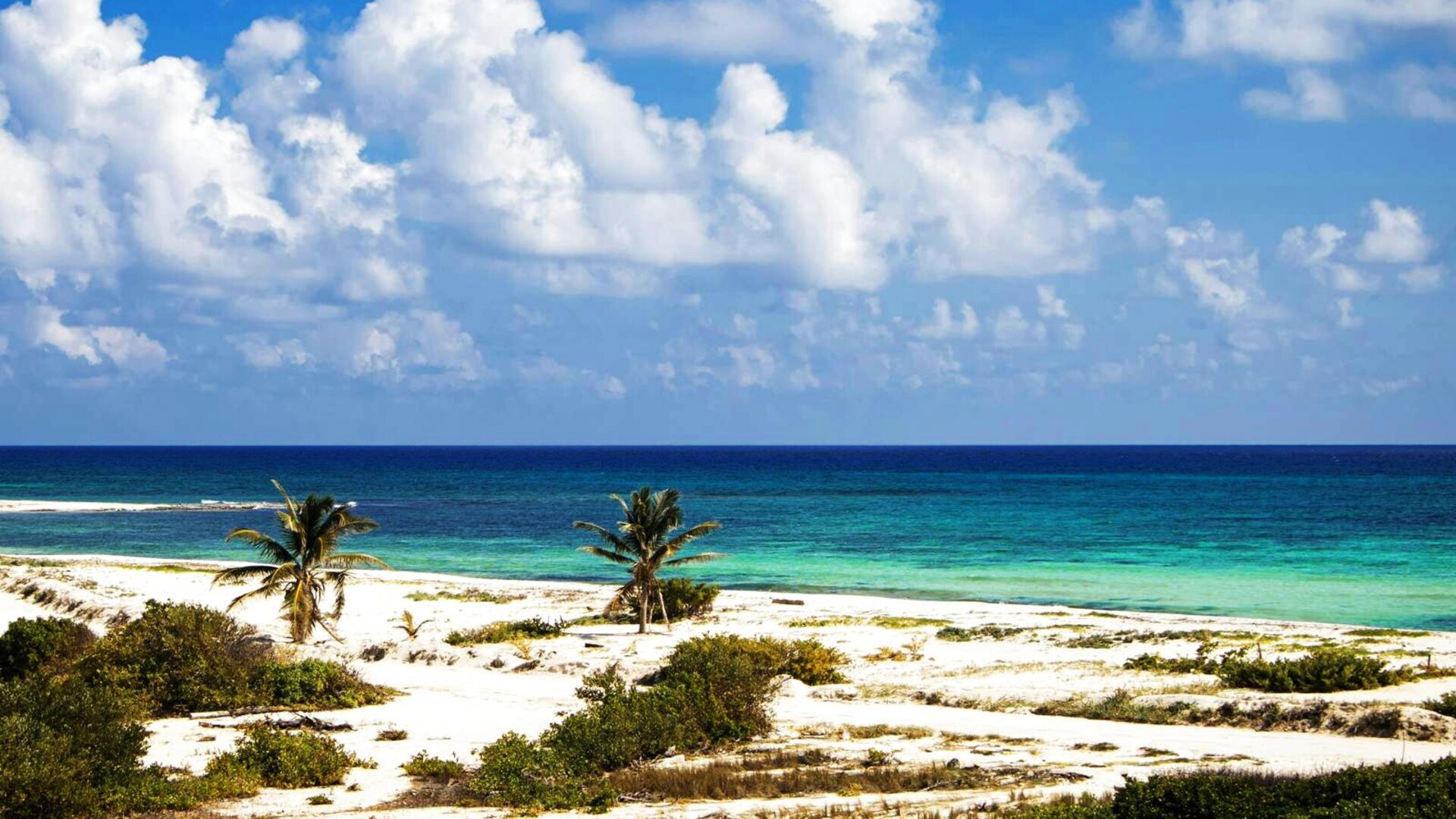 Carnival Paradise - 4-Day Western Caribbean from Tampa, FL